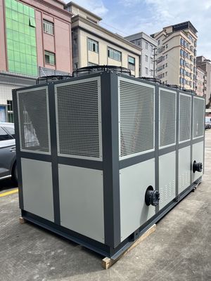 JLSF-100HP Chiller ad acqua raffreddata ad aria Danimarca Danfoss Scroll Compressore R410A